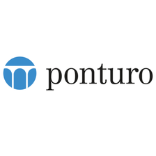 ponturo consulting AG Karriere