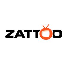 Zattoo Karriere
