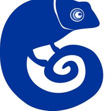 Chameleon Pharma Consulting Karriere