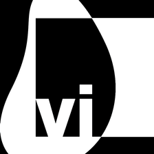 Virtual Identity AG Karriere