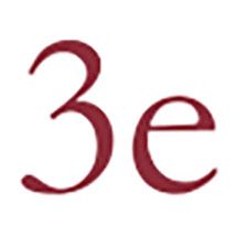 Logo-of-3e-Capital-Group-hiring-for-jobs-in-Deutschland-on-GrabJobs