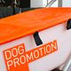 Dog Promotion GmbH