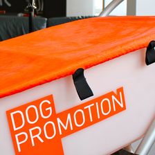 Dog Promotion GmbH