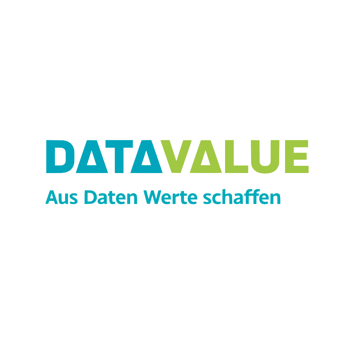 DATA VALUE GmbH