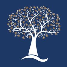 Logo of Am Consulting & Management logo hiring for jobs in Switzerland on GrabJobs