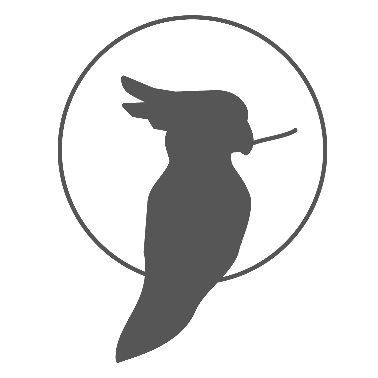 moysies & partners GmbH