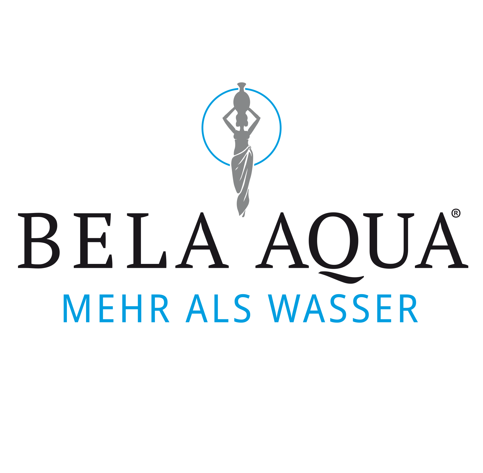 Spontaneous Application At Bela Aqua GmbH