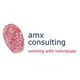 amx consulting