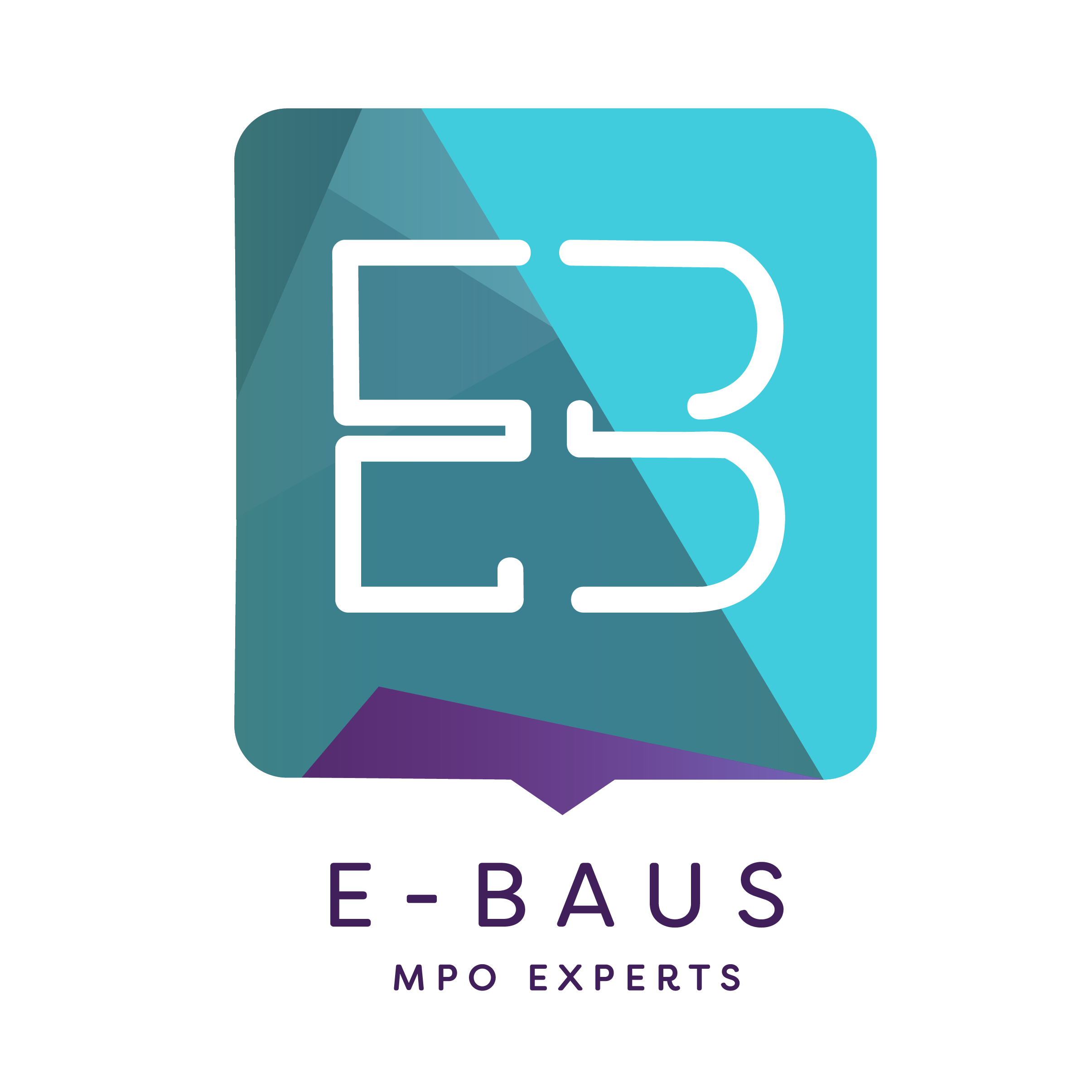 E-BAUS GmbH