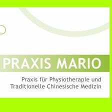 Logo-of-PRAXIS-MARIO-Praxis-Für-Physiotherapie-&-TCM-hiring-for-jobs-in-Deutschland-on-GrabJobs