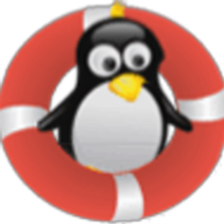 Schwimmschule Pingu Süd UG Karriere