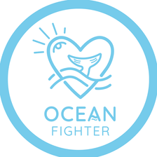 Ocean Fighter