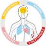 JDMT Medical Services AG