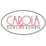 Saxonn GmbH c/o Carolaschlösschen