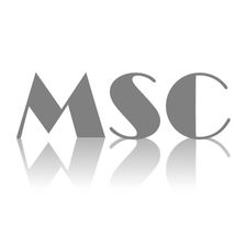MS Concepts Steuerberatungsgesellschaft GmbH