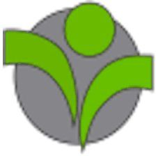 Persinta Ltd. Karriere