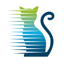 Stormcat Interactive, Martin Willert