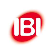 IBI - Institut für Bildung in der Informationsgesellschaft gGmbH