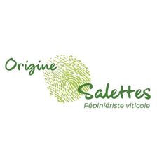 Logo-of-PEPINIERES-VITICOLES-SALETTES-hiring-for-jobs-in-France-on-GrabJobs