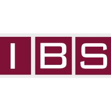 IBS Ingenieurbüro GmbH