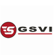 GSVI