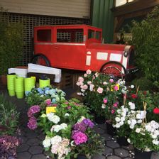 Sönke Breckwoldt Blumenhaus e.K.