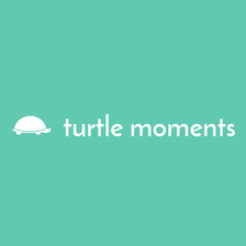 turtle moments