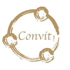 Convit Holding GmbH