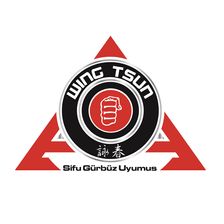 SGU Kampfkunstschule Sifu Gürbüz Uyumus