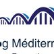 Ifolog Mediterranee