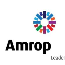 Amrop Leadership Advisory & Executive Search