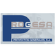 PROYECTOS GENERALES DE PROTECCION Y SERVICIOS SL
