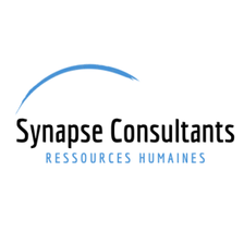 Synapse Consultants