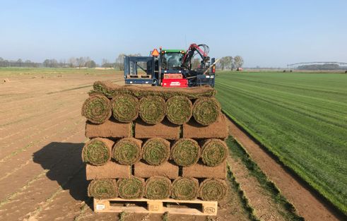 Dr. Alex Galabau (Beilrode): Garten- und Landschaftsbauer (m,w,d)
