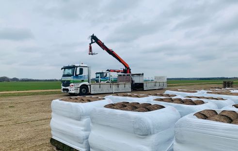 Dr. Alex Galabau (Beilrode): Garten- und Landschaftsbauer (m,w,d)