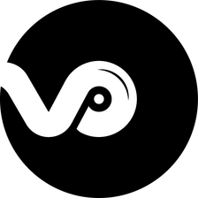 Vinylpladen Careers