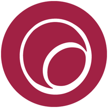 EnliteAI GmbH Karriere