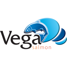 Vega Salmon GmbH Karriere