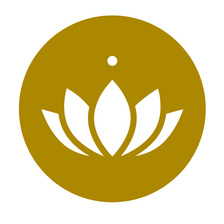 Lotuscrafts GmbH Karriere