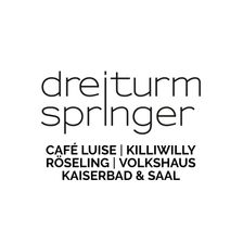 Logo-of-Dreiturmspringer-GmbH-hiring-for-jobs-in-Deutschland-on-GrabJobs