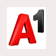 A1 Karriere