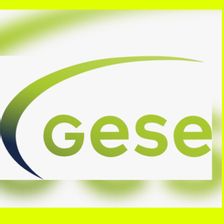 GeSe-GmbH