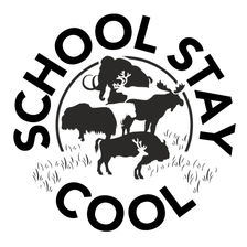 Schulprojekt "School Stay Cool" | Pleistocene & Permafrost Stiftung gUG