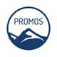 PROMOS consult Projektmanagement Organisation und Service GmbH