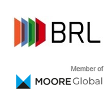 BRL Risk Consulting GmbH & Co
