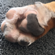 Futterberatung Sandra Paruzel