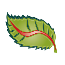 Logo-of-DentANA®---Praxis-Für-Mundgesundheit-Suhl-hiring-for-jobs-in-Deutschland-on-GrabJobs