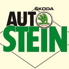 Auto Stein