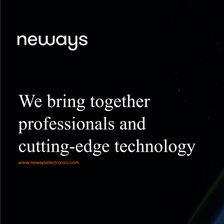 Neways Electronics Riesa