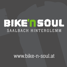 Logo-of-Hasenauer-GmbH-hiring-for-jobs-in-Österreich-on-GrabJobs